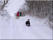 NY9362 : Tobogganing on Causey Hill Road by Oliver Dixon