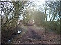 Bridleway to the Fosse Way