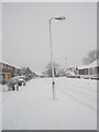 Lamppost in a snowy Hooks Lane