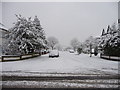 Belgrave Gardens from South Lodge Drive, London N14