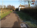 Old Wickhurst Lane passing Rose Cottages