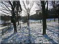 Winter sunshine by the Severn