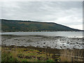 Holy Loch from picnic area below Brox Wood