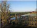 Footpath along Soham Lode