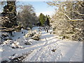 Overleigh old cemetery in the  snow