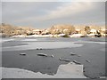 Brickfield pond