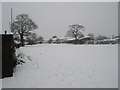 A snowy scene in Trosnant Rec (1)