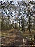TQ4793 : Path through Hainault Forest Country Park (2) by Richard Hoare