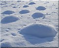 SP9210 : Snow bumps by Rob Farrow