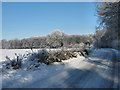 SJ7965 : Snowy lane near Brereton Heath by Jonathan Kington