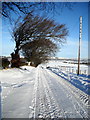 Snow Covered Road from Park Farm