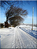 NS5750 : Snow Covered Road from Park Farm by Iain Thompson