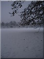 Golders Hill Park in snow