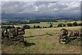 View from High Keillour