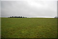 A hillside near Roebuck Farm