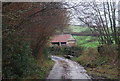 Lane near Leigh Cottage