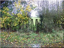 SU3176 : Stile, Lambourn Woodlands by Maigheach-gheal