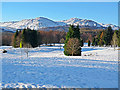 Comrie Golf Course