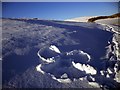 Snow Angel at Blynlee