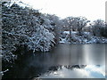 Carleton Hill Fishery frozen 2010