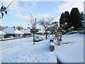 Mid section of a snowy Chestnut Avenue