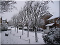 Snowy Oakley Dell