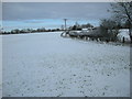 Cawston Bridleway