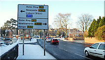 J3873 : Road sign, Belfast by Albert Bridge