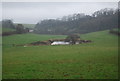 Pond, Escott Farm