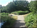 Basingstoke Canal Tow Path