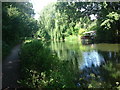 Basingstoke Canal Tow Path