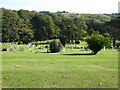 Large cemetery near Buckland