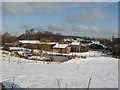 Frozen pond