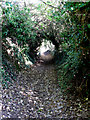 Looking N along the North Downs Way