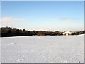 Playing Field, Benfield Valley