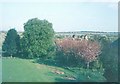 Garden & Outlook from Bredgar House: 1972