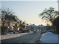 Snowy Netherby Road