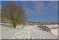 Colley Hill in snow