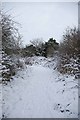 Noak Bridge Reserve Path