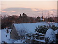 Rooftops, church steeple and the Cheviots