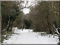 Footpath from Elmstead to Chislehurst