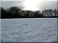 Sledge tracks on Walden Recreation Ground