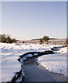 Dockens Water near Holly Hatch Cottage