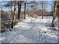 Footpath, Bisley Common