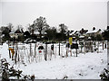 Allotments near Green Lane, Chislehurst