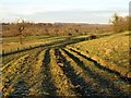 Track near The Ridge