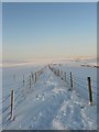 Footpath, Benfield Hill