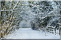 Bridleway Near Merstham, Surrey