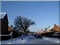 Looking from Awbridge Road into a snowy Winchfield Crescent