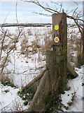 TG2404 : Footpath marker beside Boudica's Way by Evelyn Simak